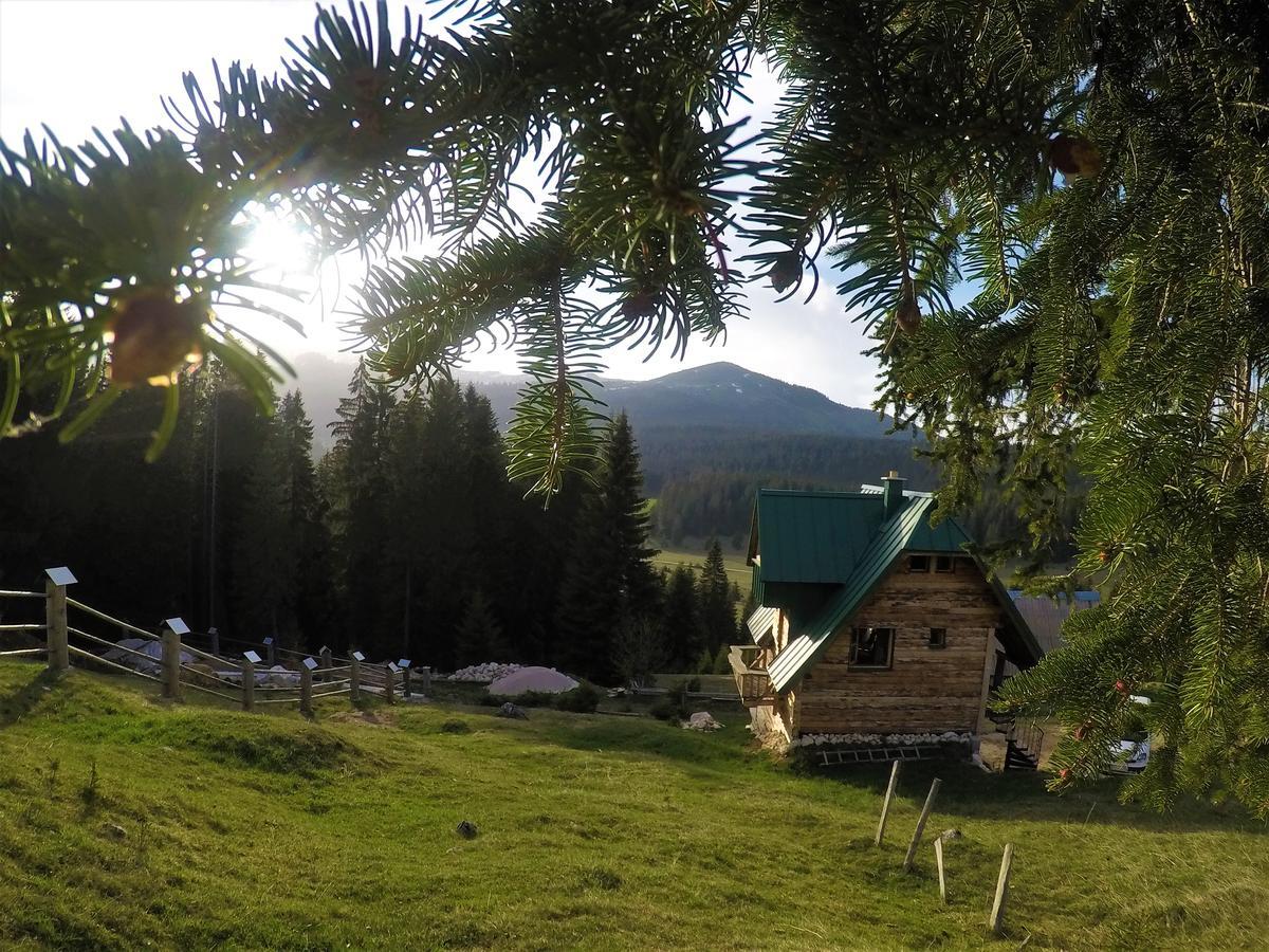 Mountain Story Apartment Žabljak Exterior foto